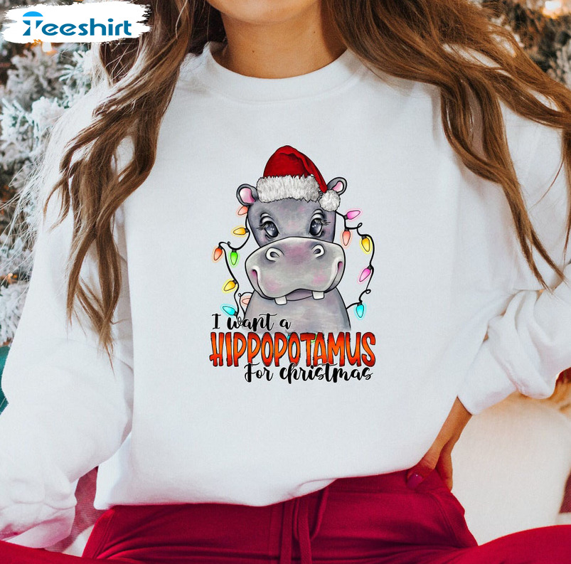 I Want A Hippopotamus For Christmas Sweatshirt - Hippopotamus Funny Long Sleeve Tee Tops