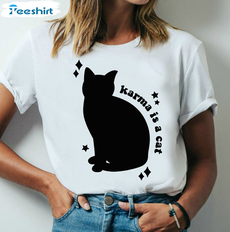 Karma Is A Cat Shirt, Taylor Swift Vintage Unisex Hoodie Sweatshirt