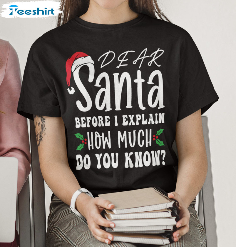 Dear Santa Before I Explain How Much Do You Know Shirt, Christmas Crewneck Unisex Hoodie