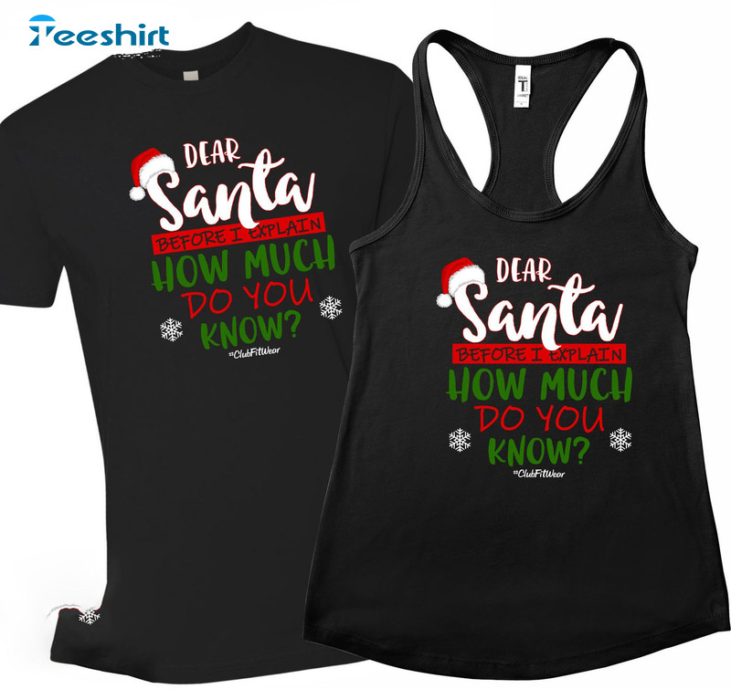 Dear Santa Before I Explain How Much Do You Know Shirt, Christmas Unisex Hoodie Sweater