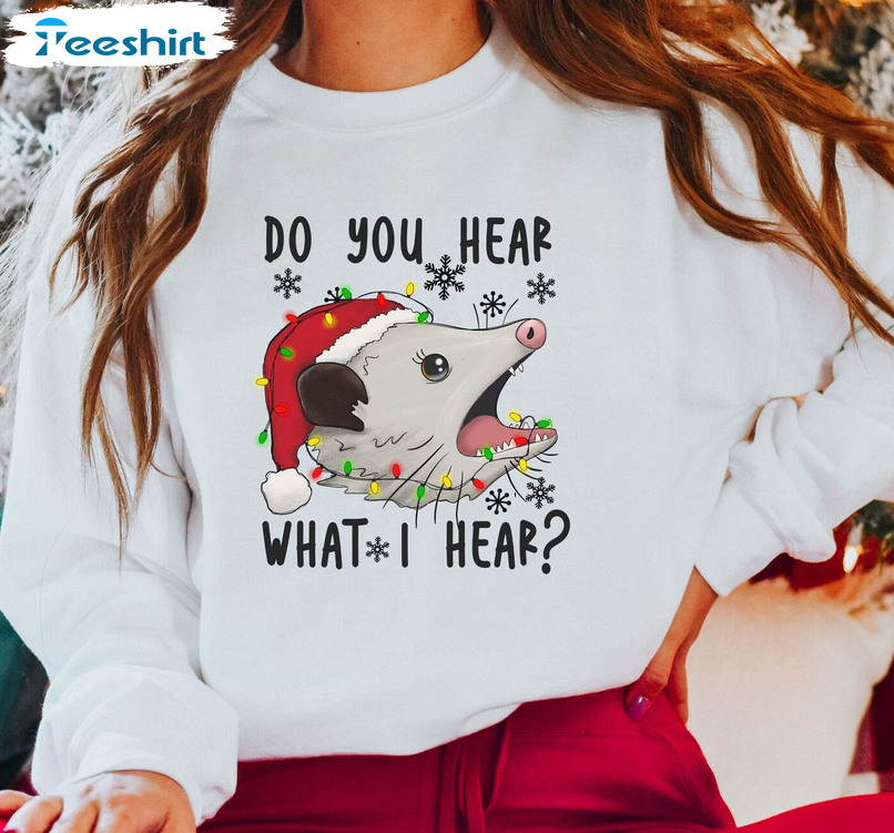 Do You Hear What I Hear Shirt, Opossum Xmas Lights Long Sleeve Unisex Hoodie