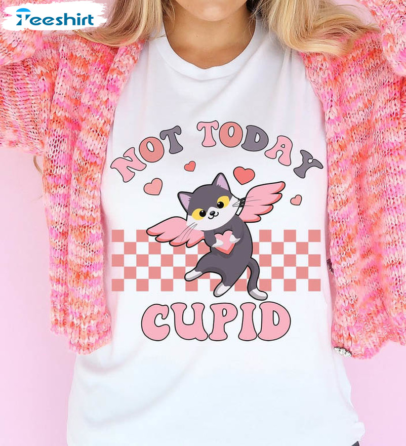 Not Today Cupid Shirt, Funny Valentines Unisex Hoodie Long Sleeve