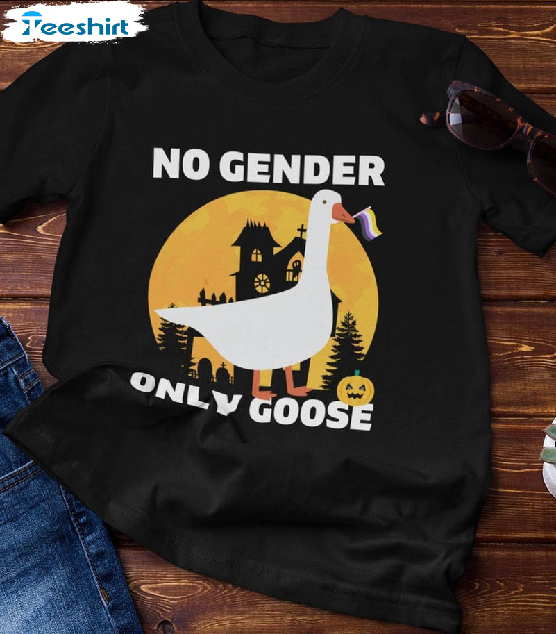 No Gender Only Goose Shirt, Funny Non Binary Present Sweater Long Sleeve