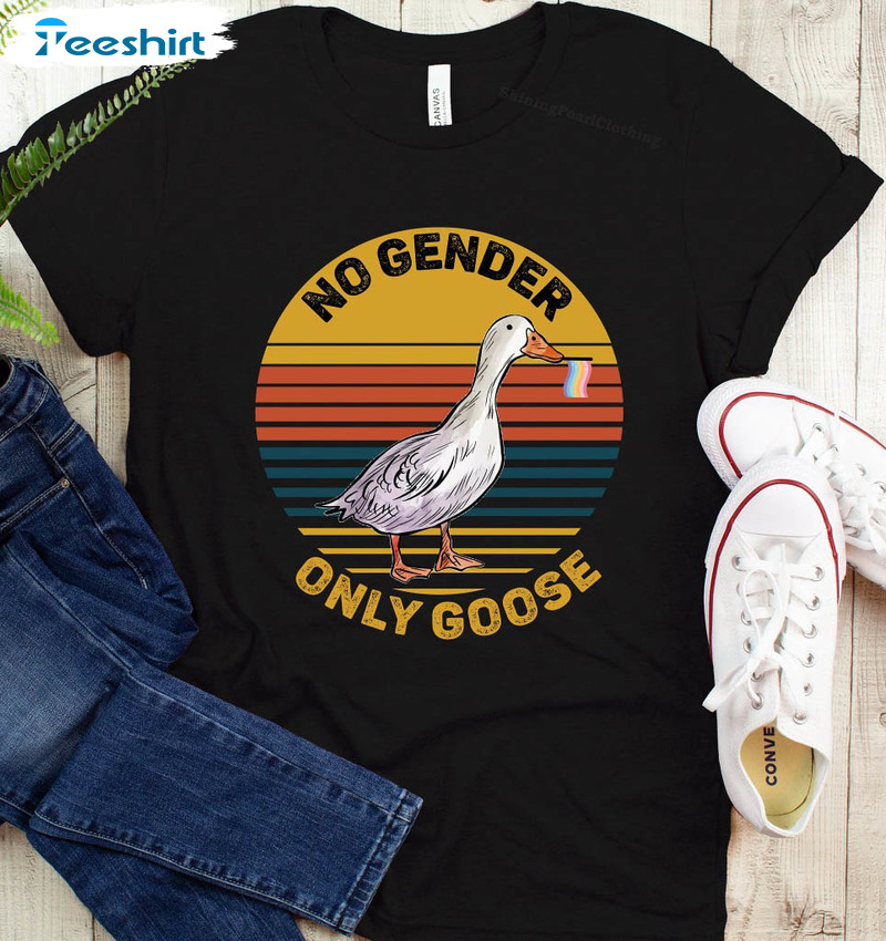 No Gender Only Goose Trending Shirt, Gender Neutral Pride Flag Long Sleeve Sweater