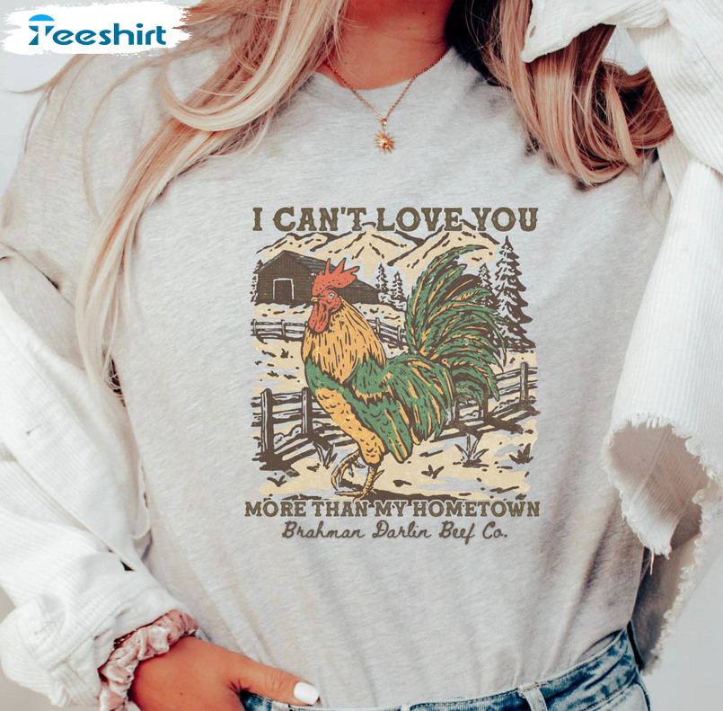 I Can't Love You More Than My Hometown Shirt, Wallen Lyrics Tee Tops Long Sleeve