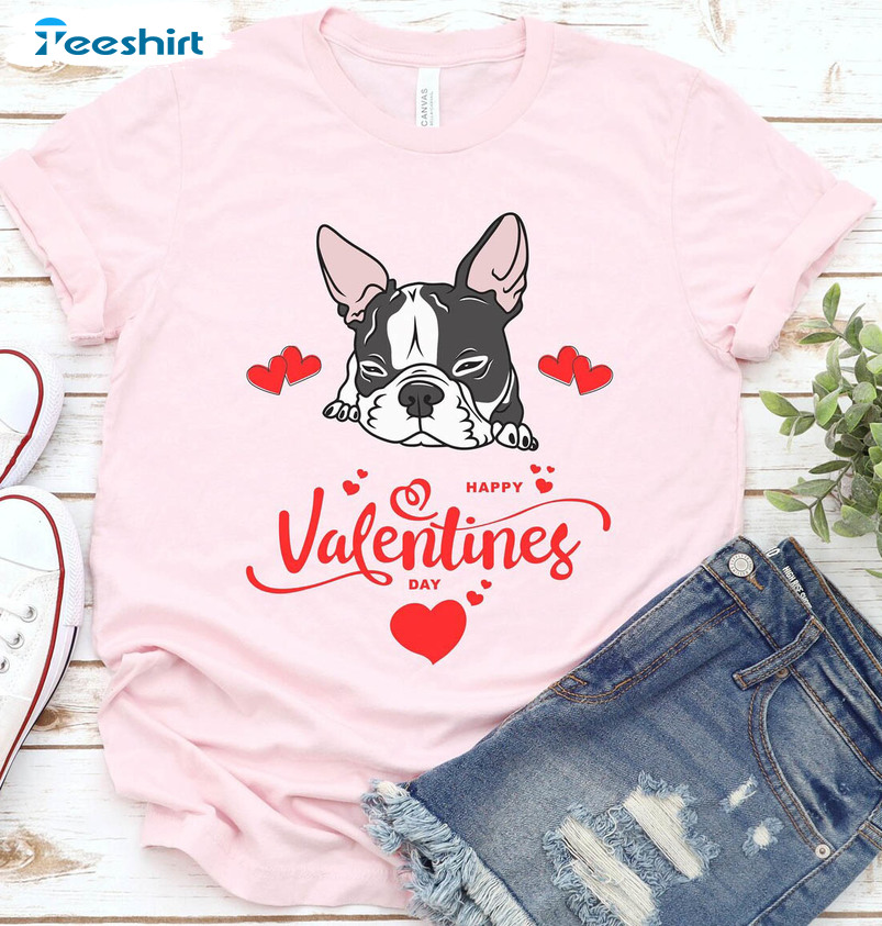 Boston Terrier Valentines Day Shirt, Funny Dog Unisex Hoodie Long Sleeve