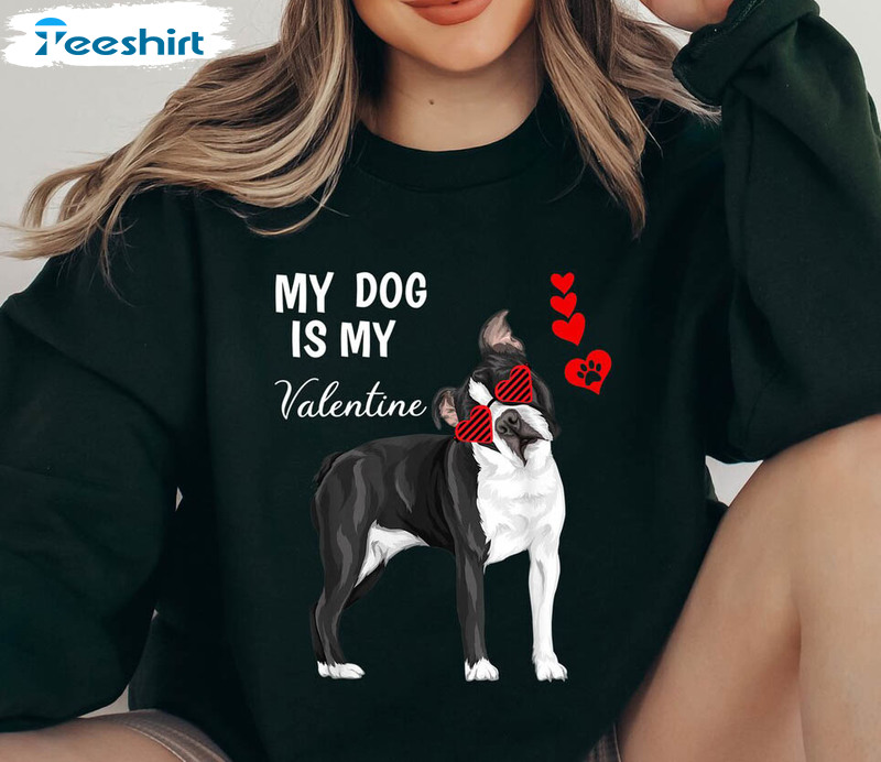 dog agility sweatshirts