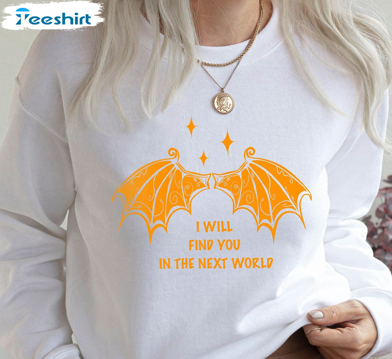 I Will Find You In The Next World Shirt, Velaris City Of Starlight Long Sleeve Unisex Hoodie